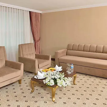 Otel The Sign Kocaeli Thermal &convention Center Golcuk